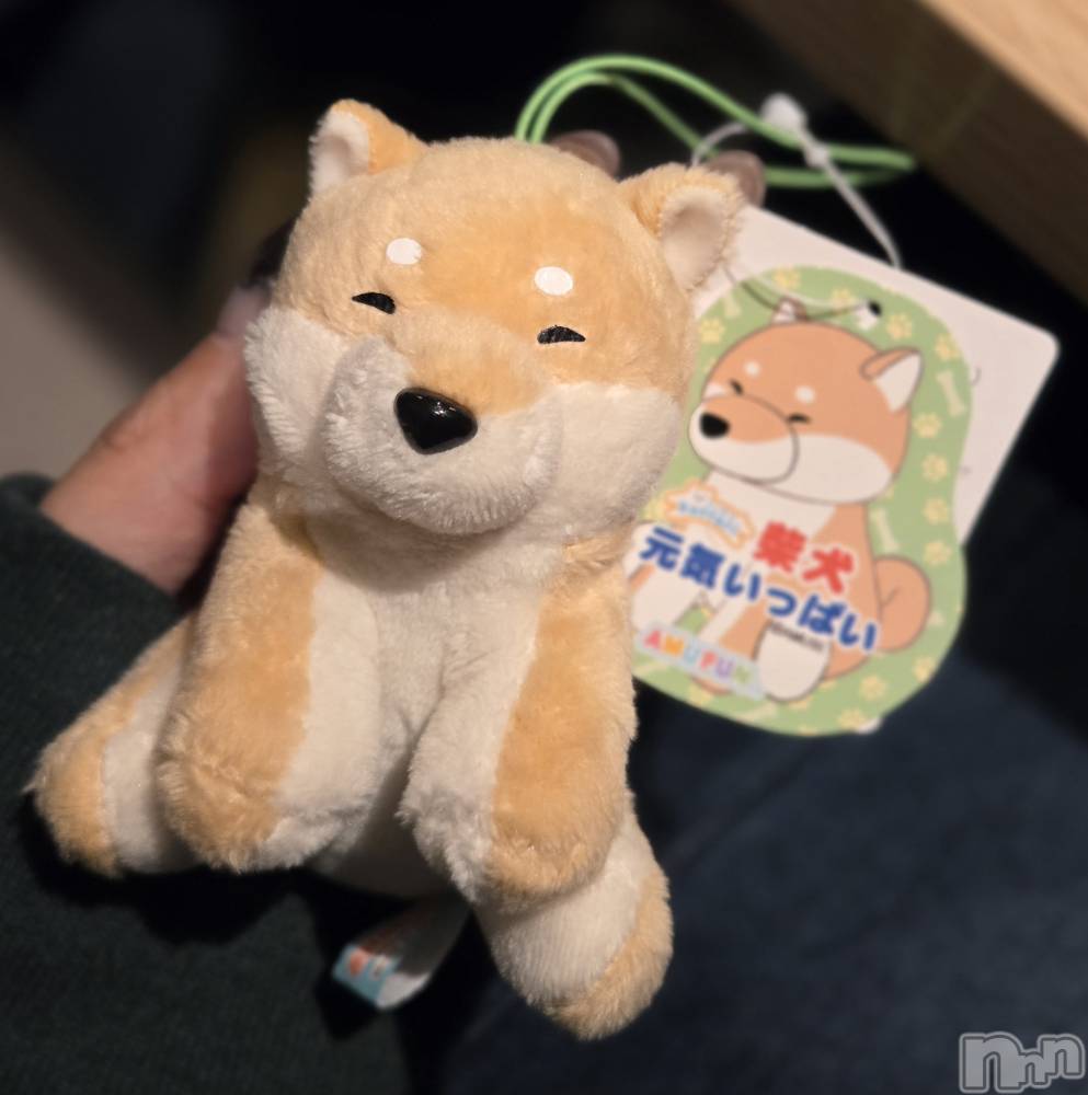 ĮХ顦֥ ץ ( ץ ) ǵʤߤ1124̥֥🐶