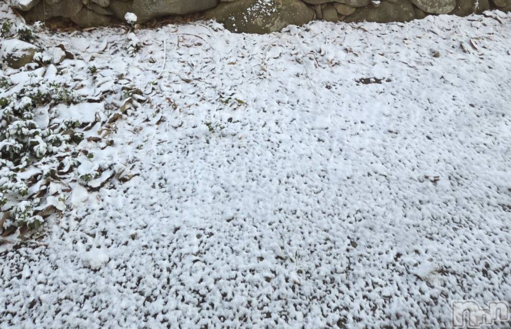 ĮХ顦֥ ץ ( ץ ) ǵʤߤ124̥֥☺️