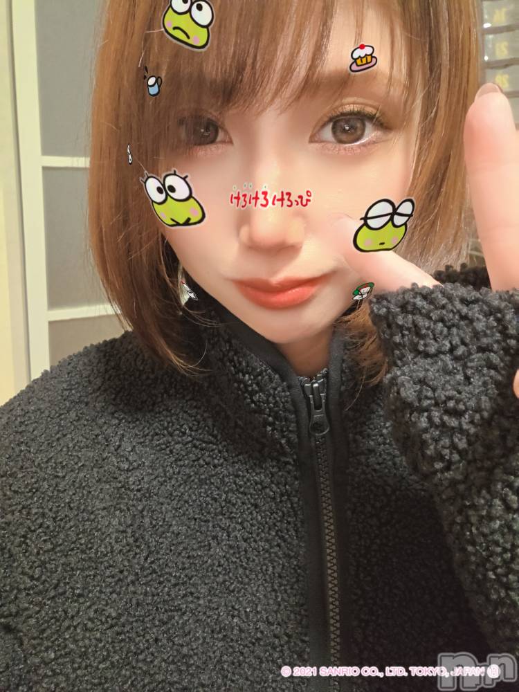 ��Į����Х��顦����֥���� �ץ���� ����(����� �ץ���� ������) ��ǵ���ʤߤ�12��12���̥�֥�����🐸��