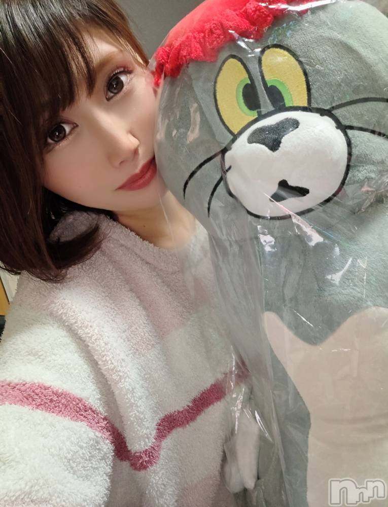 ��Į����Х��顦����֥���� �ץ���� ����(����� �ץ���� ������) ��ǵ���ʤߤ�1��5���̥�֥�����😄��