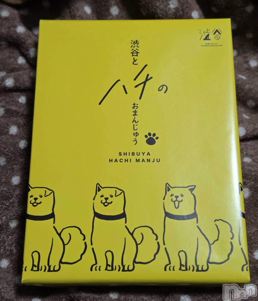 ��Į����Х��顦����֥���� �ץ���� ����(����� �ץ���� ������) ��ǵ���ʤߤ�1��7���̥�֥�����🐶��