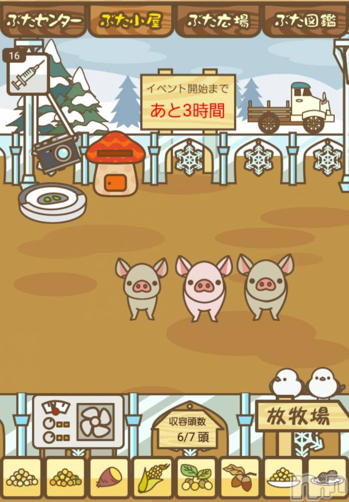 ��Į����Х��顦����֥���� �ץ���� ����(����� �ץ���� ������) ��ǵ���ʤߤ�1��9���̥�֥�����🐷��