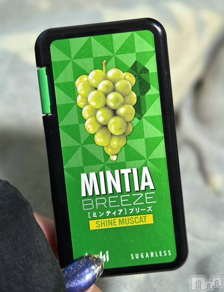 ��Į����Х��顦����֥���� �ץ���� ����(����� �ץ���� ������) ��ǵ���ʤߤ�2��3���̥�֥�����✨��