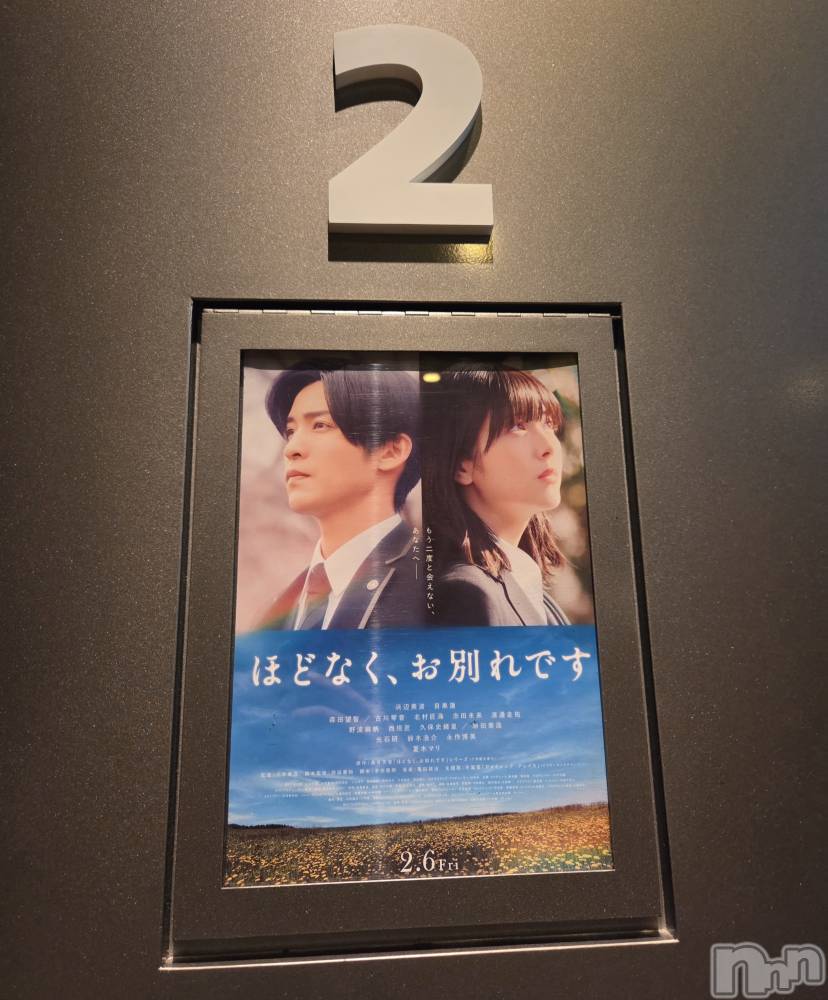 ��Į����Х��顦����֥���� �ץ���� ����(����� �ץ���� ������) ��ǵ���ʤߤ�2��17���̥�֥�����🥲��