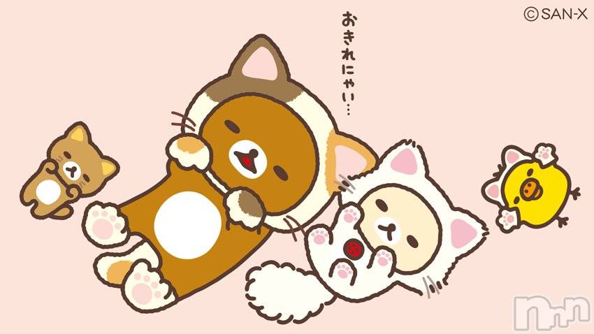 ��Į����Х��顦����֥���� �ץ���� ����(����� �ץ���� ������) ��ǵ���ʤߤ�2��22���̥�֥�����😌��