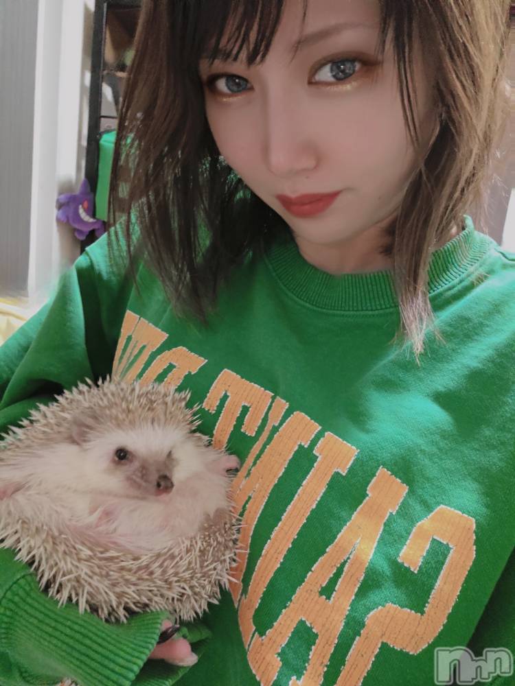 ��Į����Х��顦����֥���� �ץ���� ����(����� �ץ���� ������) ��ǵ���ʤߤ�2��26���̥�֥�����😆��