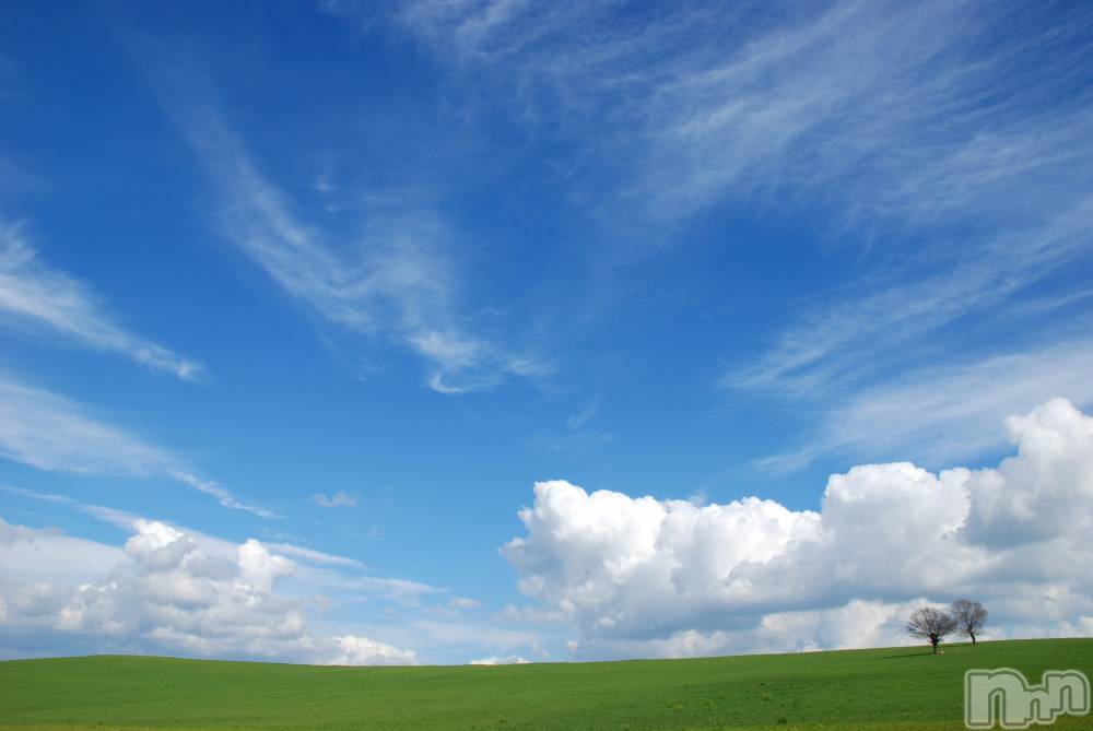 ��Į����Х��顦����֥���� �ץ���� ����(����� �ץ���� ������) ��ǵ���ʤߤ�3��4���̥�֥�����😮��