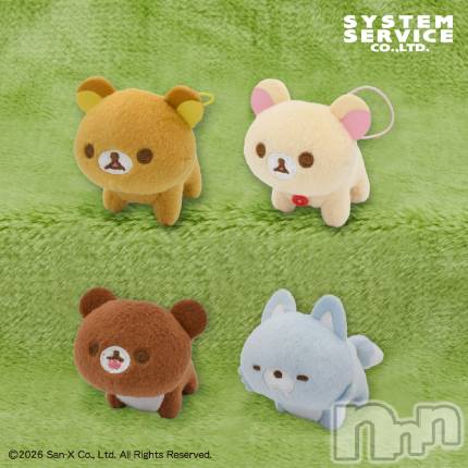 ��Į����Х��顦����֥���� �ץ���� ����(����� �ץ���� ������) ��ǵ���ʤߤ�3��8���̥�֥�����🤩��