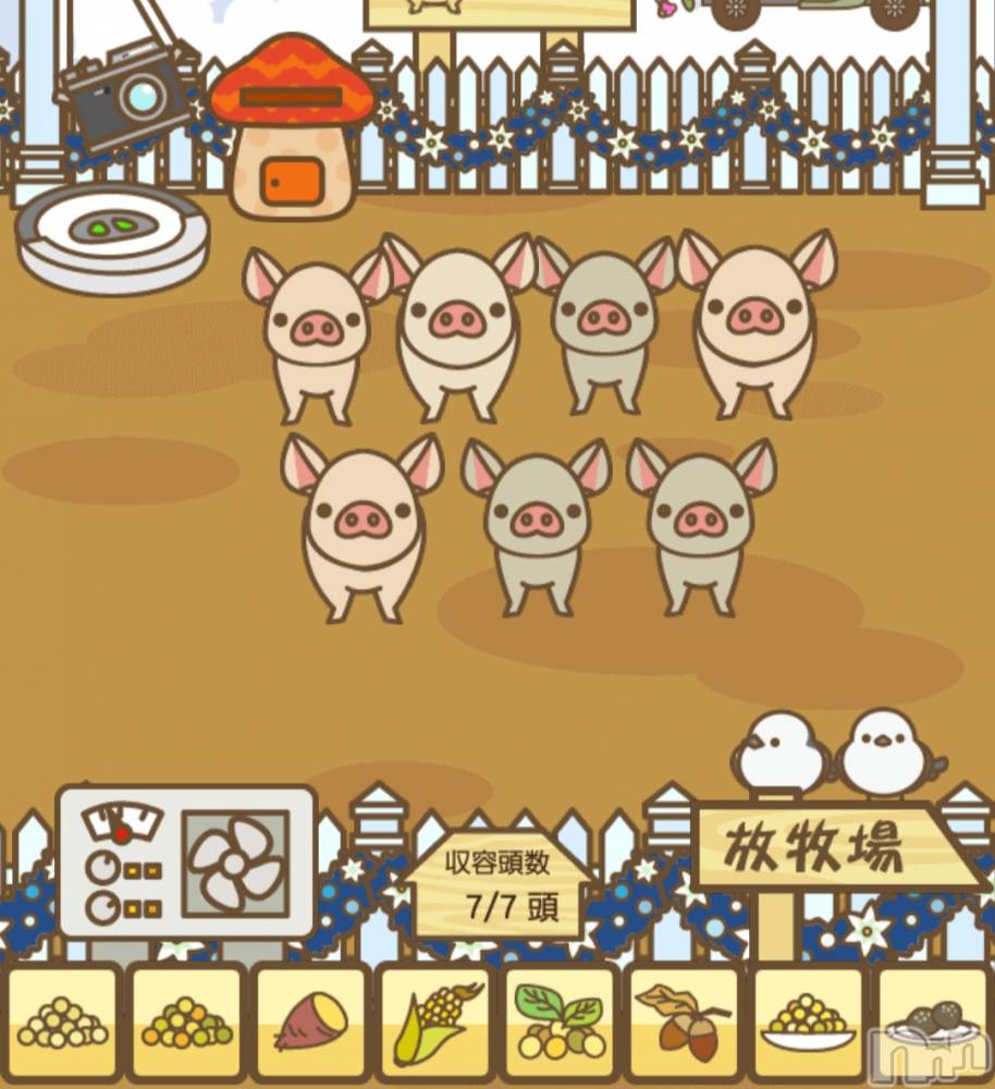 ��Į����Х��顦����֥���� �ץ���� ����(����� �ץ���� ������) ��ǵ���ʤߤ�3��10���̥�֥�����👀��