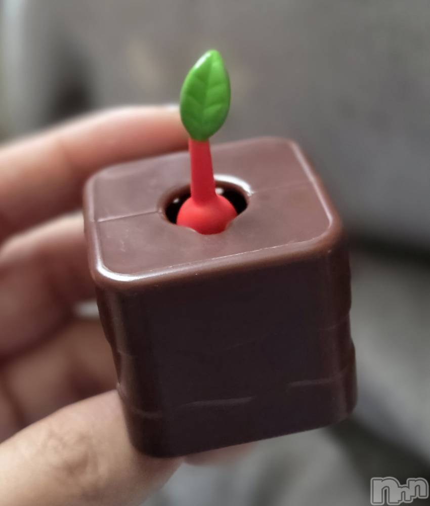 ��Į����Х��顦����֥���� �ץ���� ����(����� �ץ���� ������) ��ǵ���ʤߤ�3��18���̥�֥�����‪🌱‬��