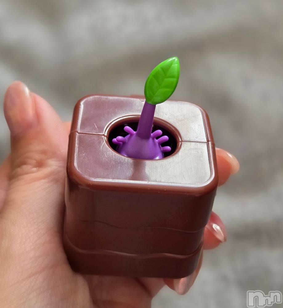 ��Į����Х��顦����֥���� �ץ���� ����(����� �ץ���� ������) ��ǵ���ʤߤ�3��22���̥�֥�����😁��