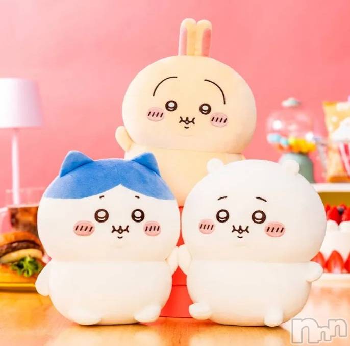 ��Į����Х��顦����֥���� �ץ���� ����(����� �ץ���� ������) ��ǵ���ʤߤ�3��26���̥�֥�����😌��