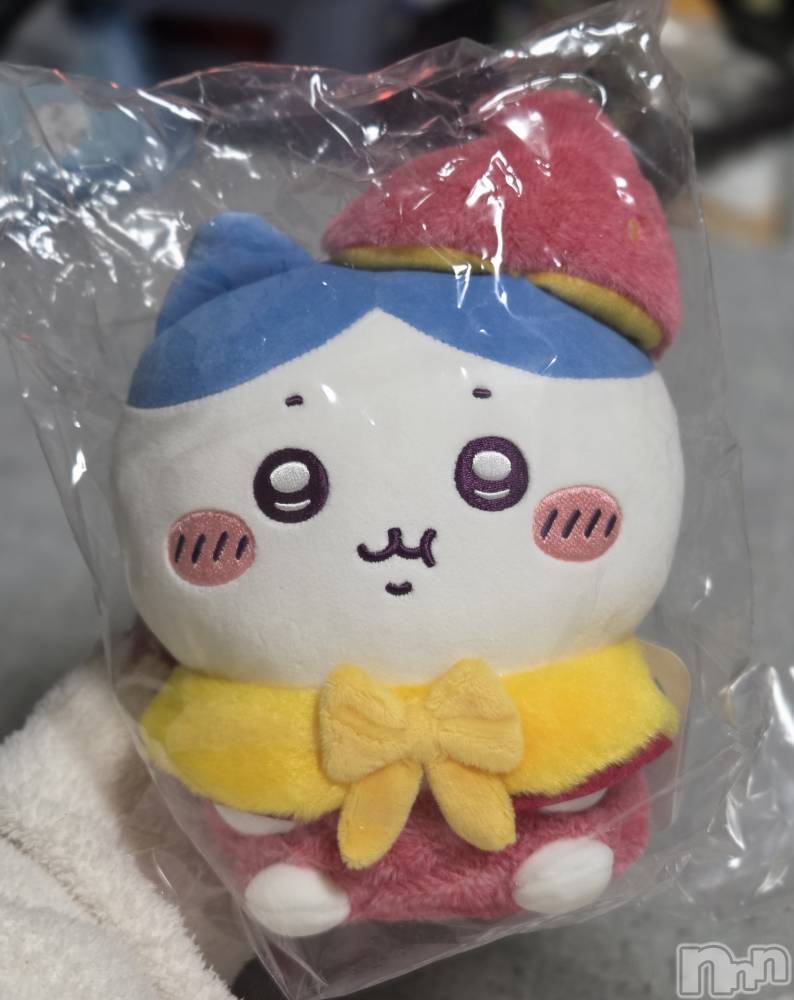 ��Į����Х��顦����֥���� �ץ���� ����(����� �ץ���� ������) ��ǵ���ʤߤ�4��2���̥�֥�����🤩��