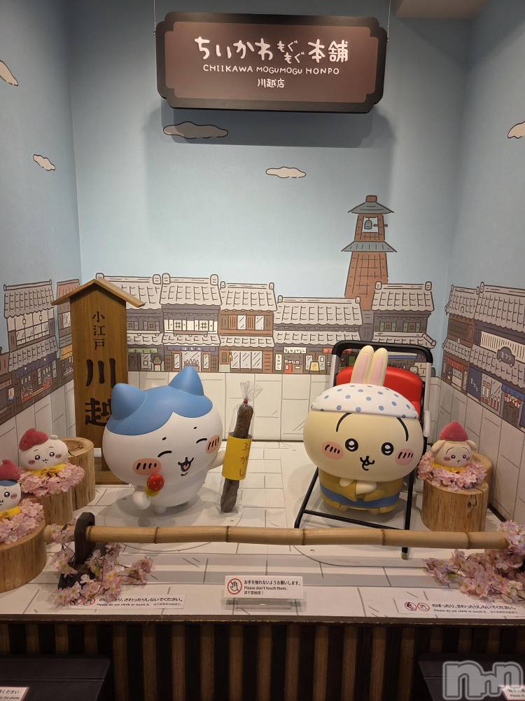 ��Į����Х��顦����֥���� �ץ���� ����(����� �ץ���� ������) ��ǵ���ʤߤ�4��2���̥�֥�����😅��