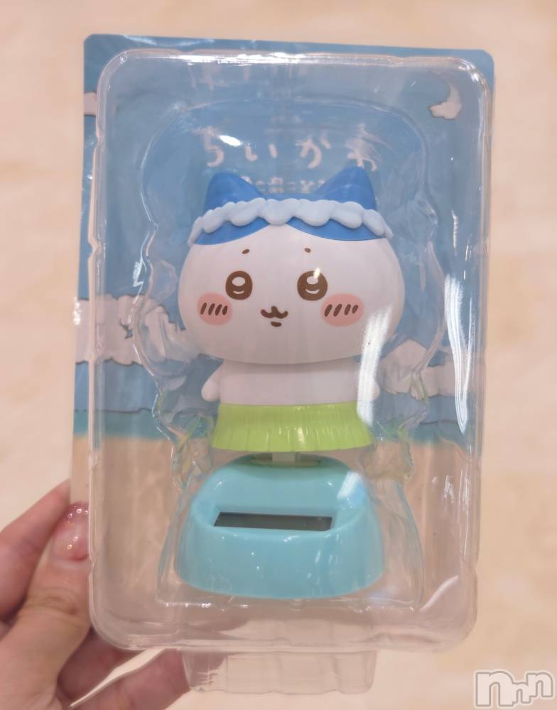 ��Į����Х��顦����֥���� �ץ���� ����(����� �ץ���� ������) ��ǵ���ʤߤ�8��10���̥�֥�����😄🌟��