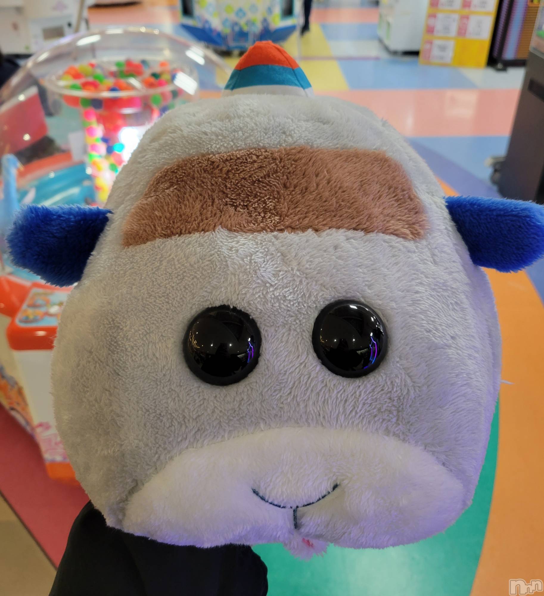 ĮХ顦֥ ץ ( ץ ) 2023ǯ19̥֥🐭