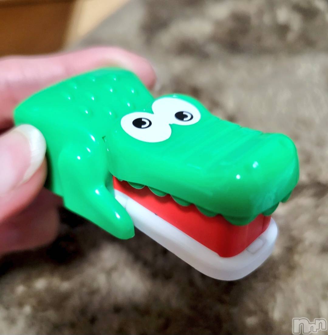 ĮХ顦֥ ץ ( ץ ) 2023ǯ116̥֥🐊