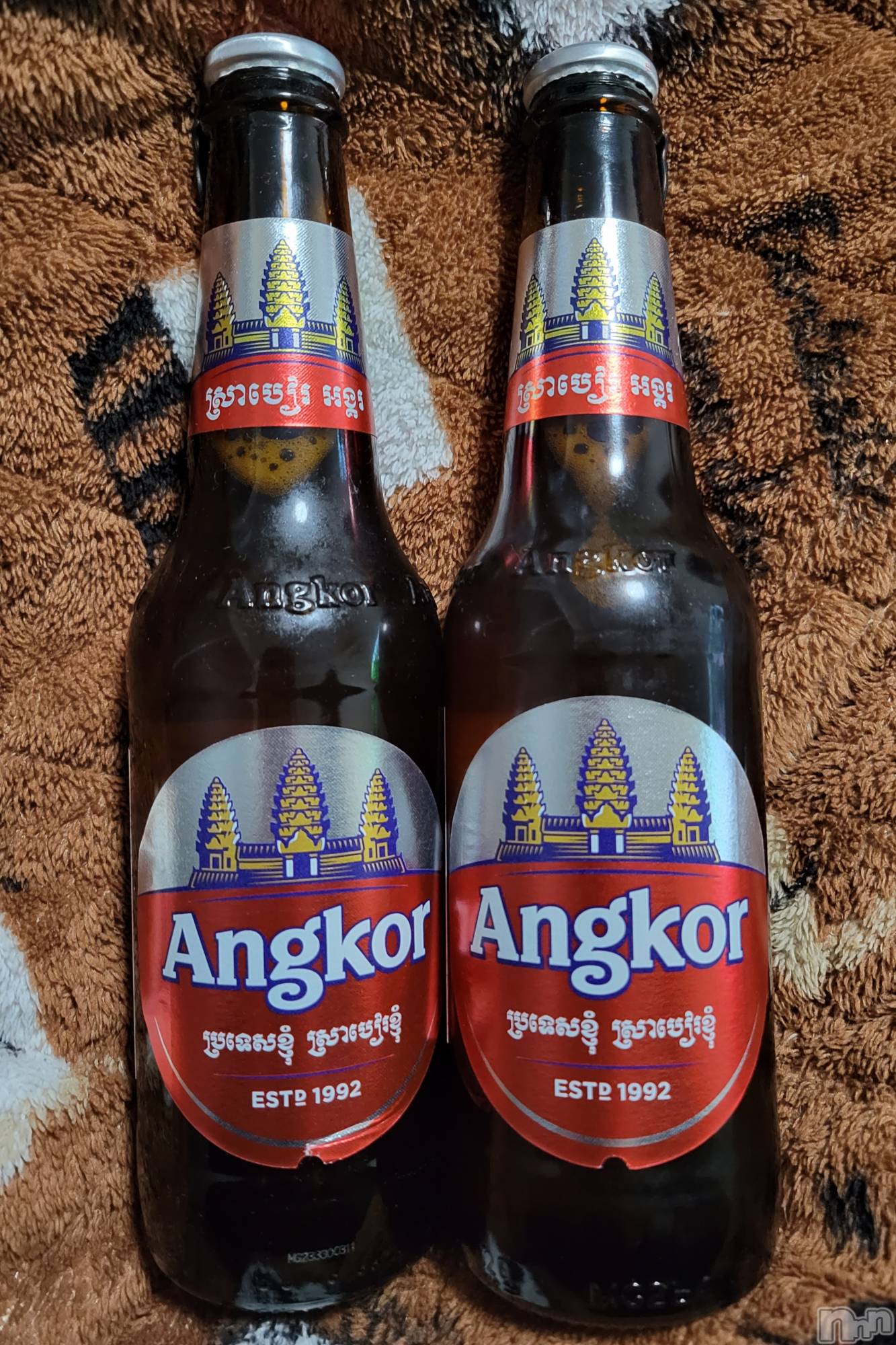 ĮХ顦֥ ץ ( ץ ) 2023ǯ125̥֥🍺