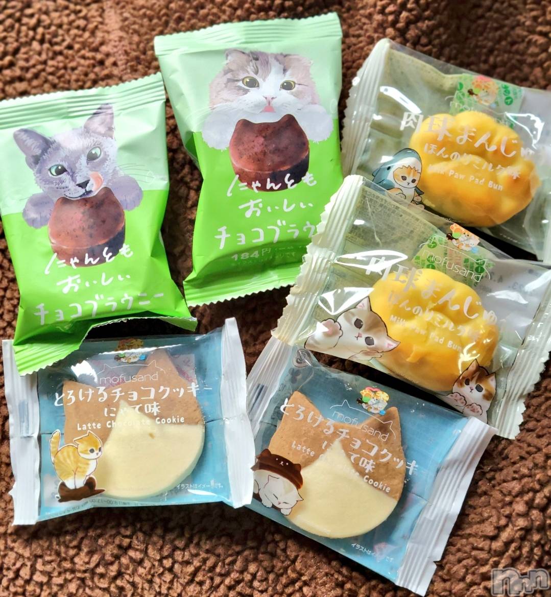 ĮХ顦֥ ץ ( ץ ) 2023ǯ316̥֥🐱