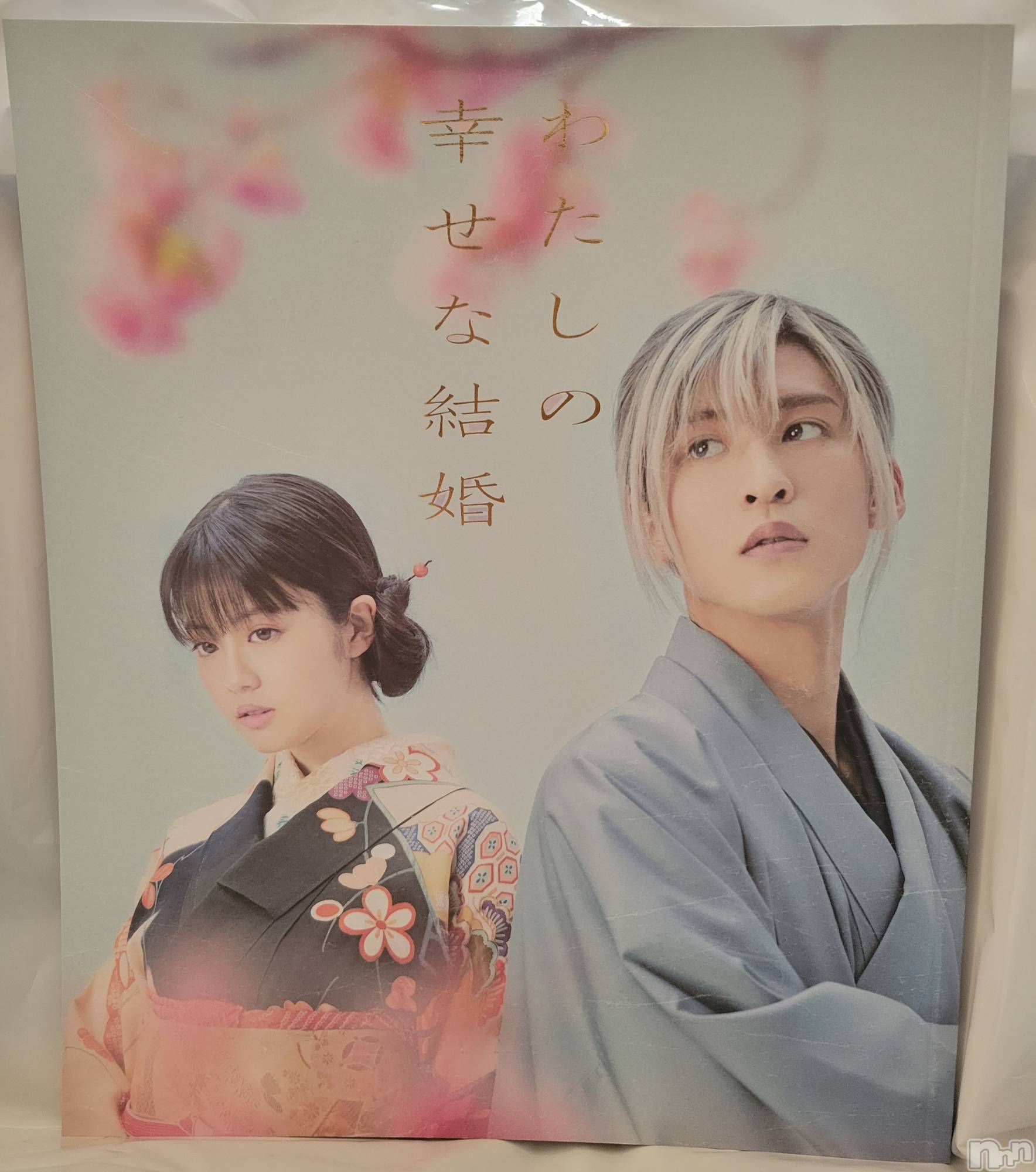 ĮХ顦֥ ץ ( ץ ) 2023ǯ412̥֥💗