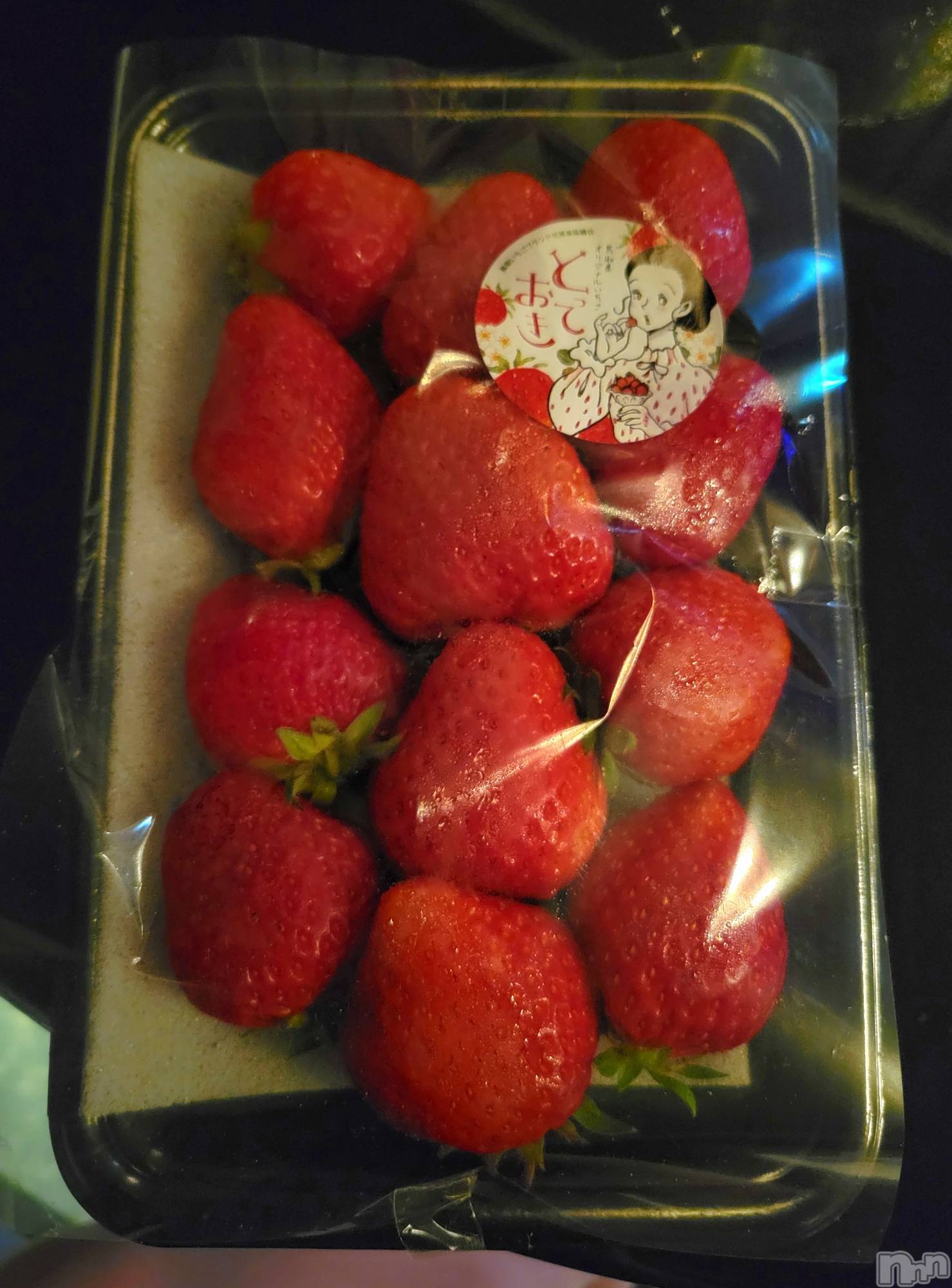 ĮХ顦֥ ץ ( ץ ) 2023ǯ614̥֥🍓