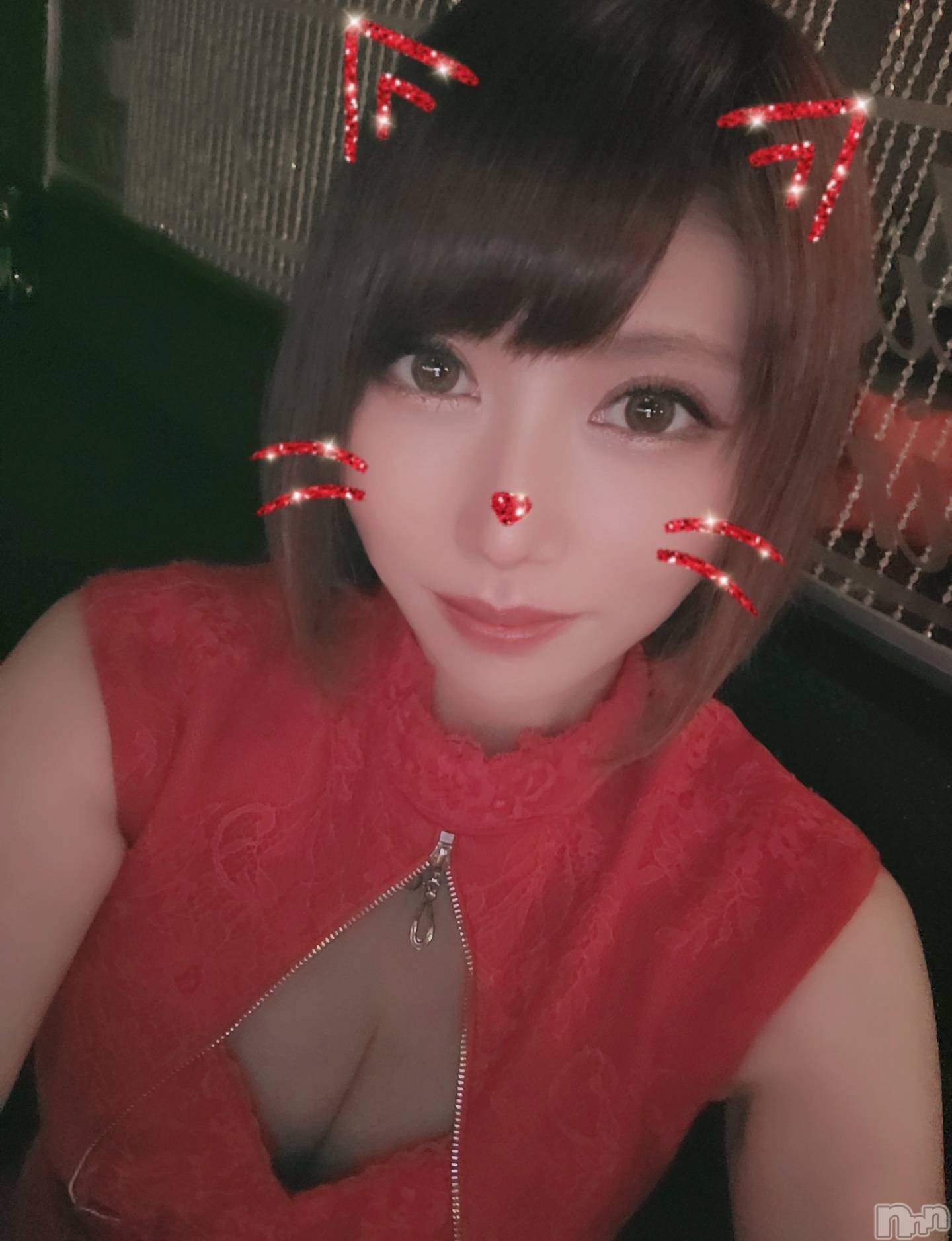 ĮХ顦֥ ץ ( ץ ) 2023ǯ720̥֥🙂