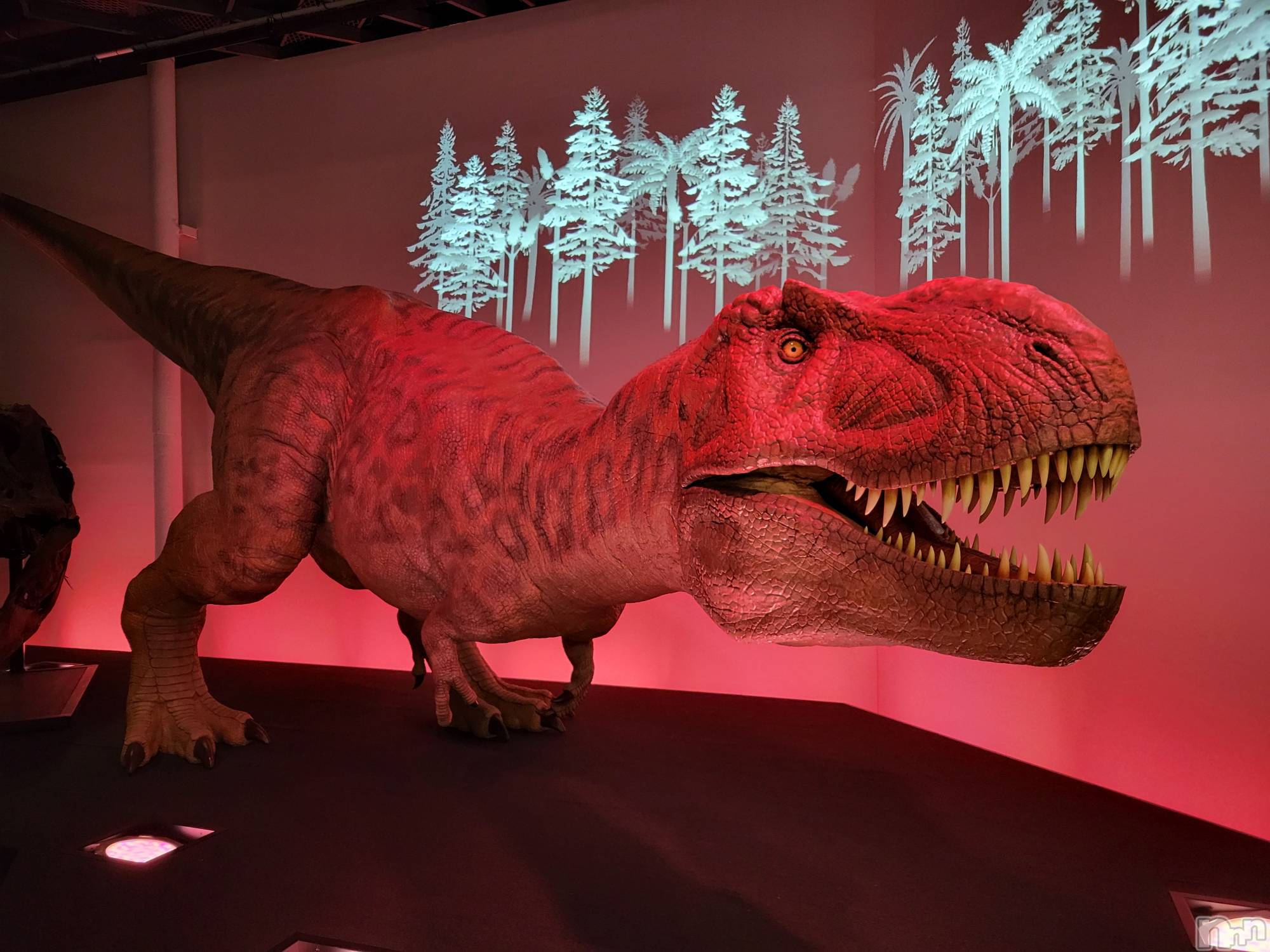 ĮХ顦֥ ץ ( ץ ) 2023ǯ818̥֥🦖