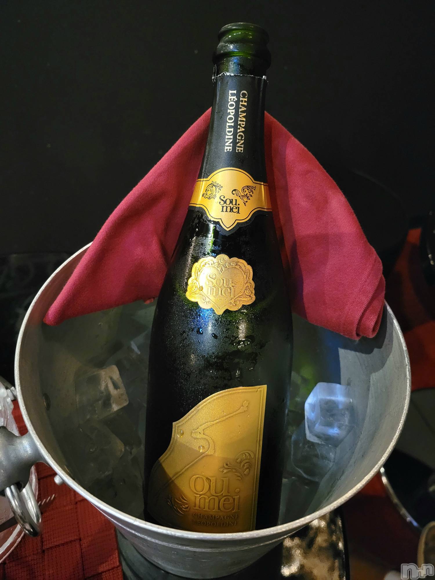 ĮХ顦֥ ץ ( ץ ) 2023ǯ911̥֥🥂