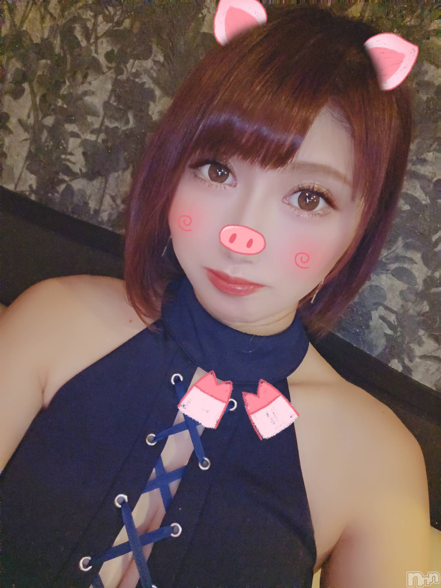 ĮХ顦֥ ץ ( ץ ) 2023ǯ1228̥֥🐷