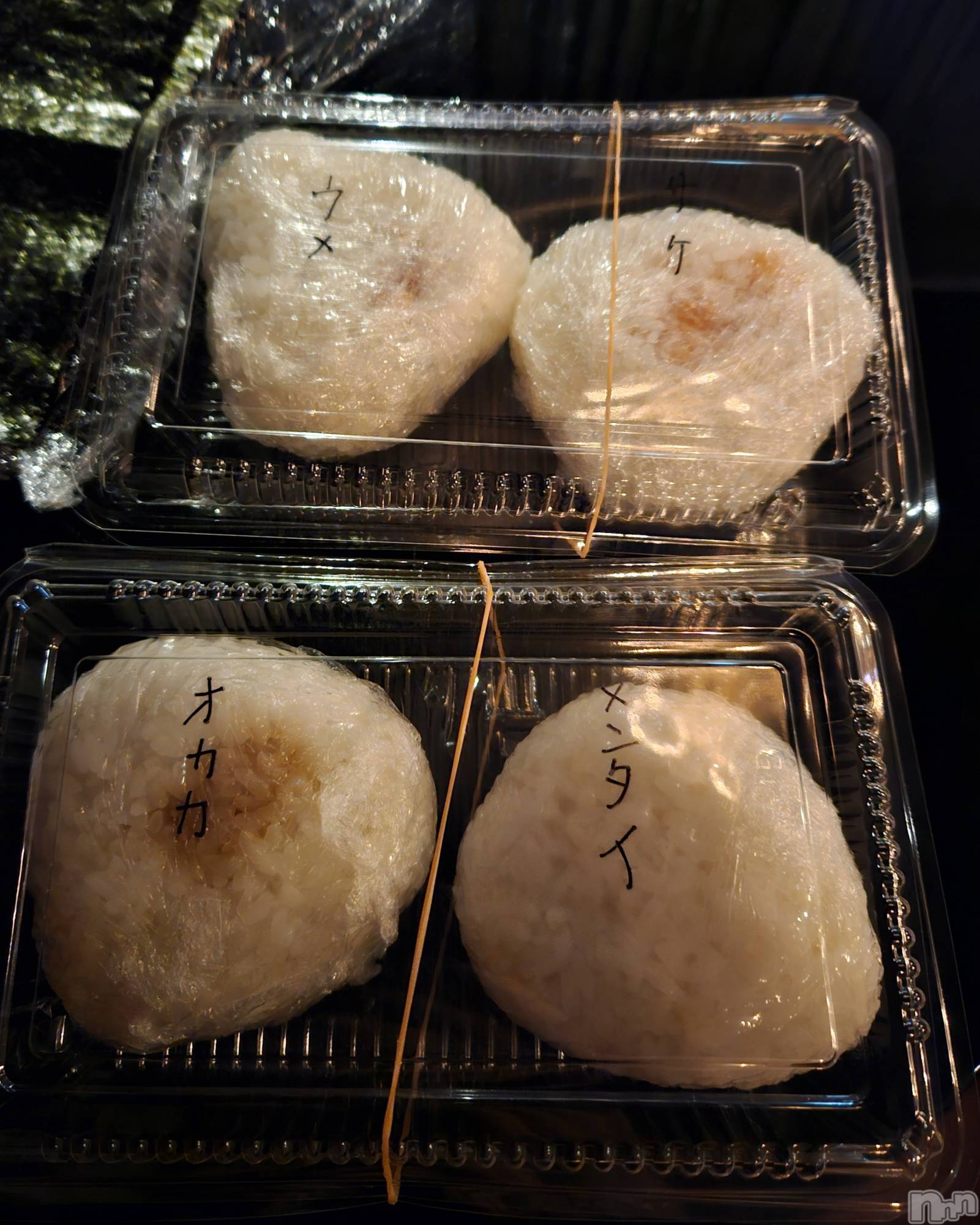 ĮХ顦֥ ץ ( ץ ) 2024ǯ17̥֥🍙