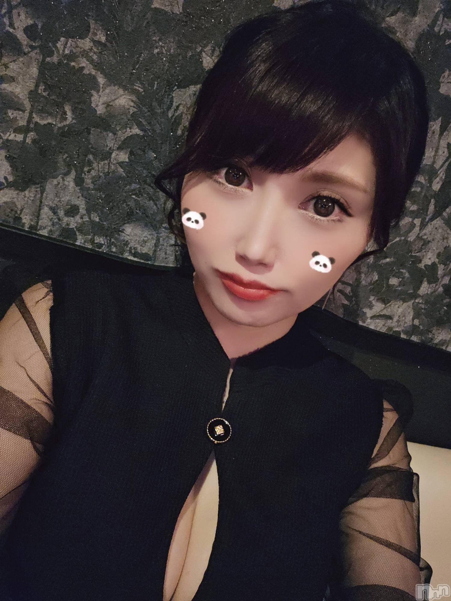 ĮХ顦֥ ץ ( ץ ) 2024ǯ628̥֥🐼