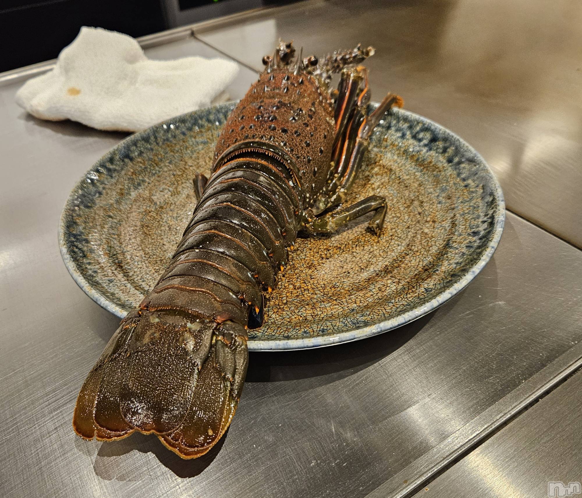 ĮХ顦֥ ץ ( ץ ) 2024ǯ77̥֥🦐