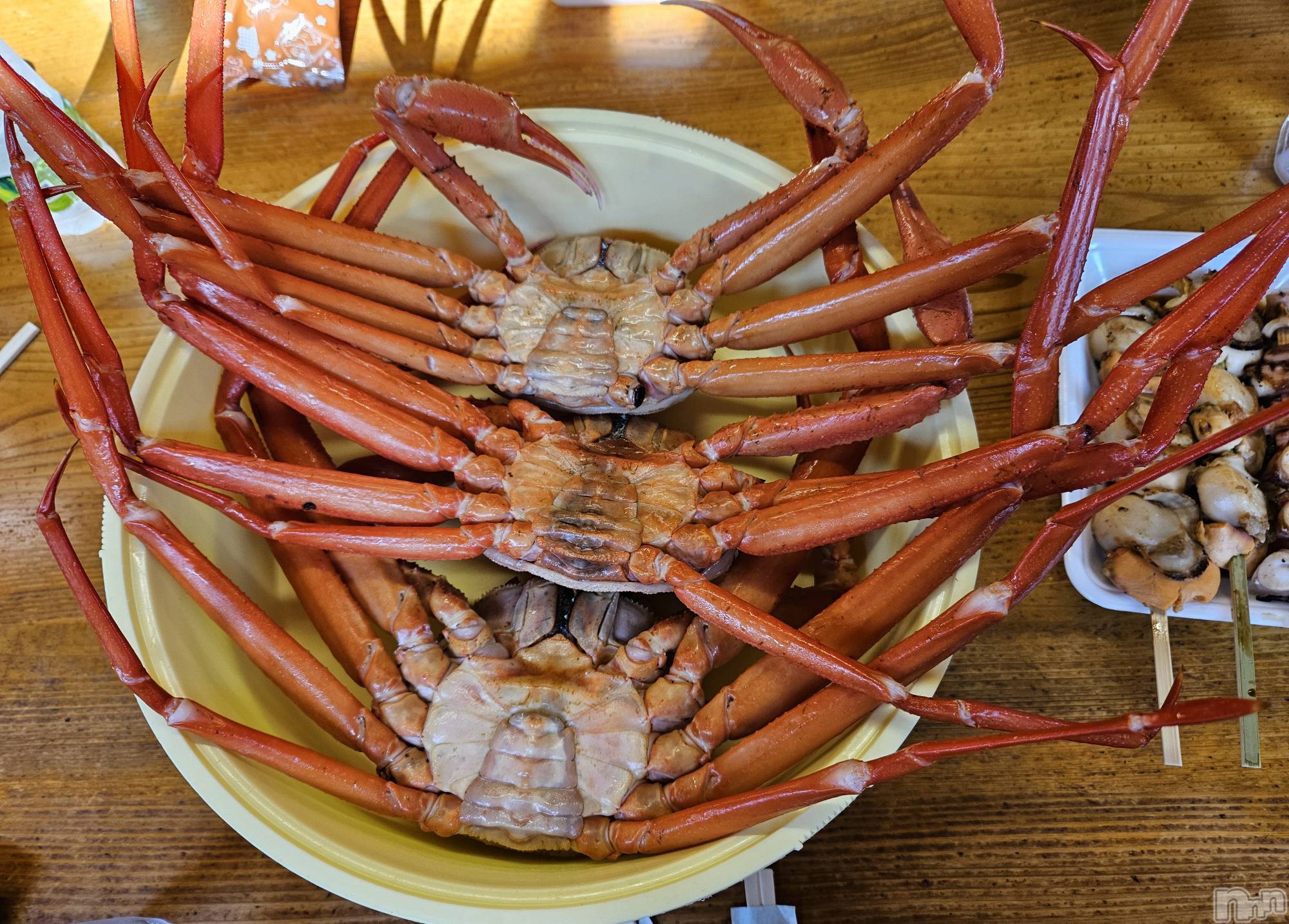 ĮХ顦֥ ץ ( ץ ) 2024ǯ726̥֥🦀