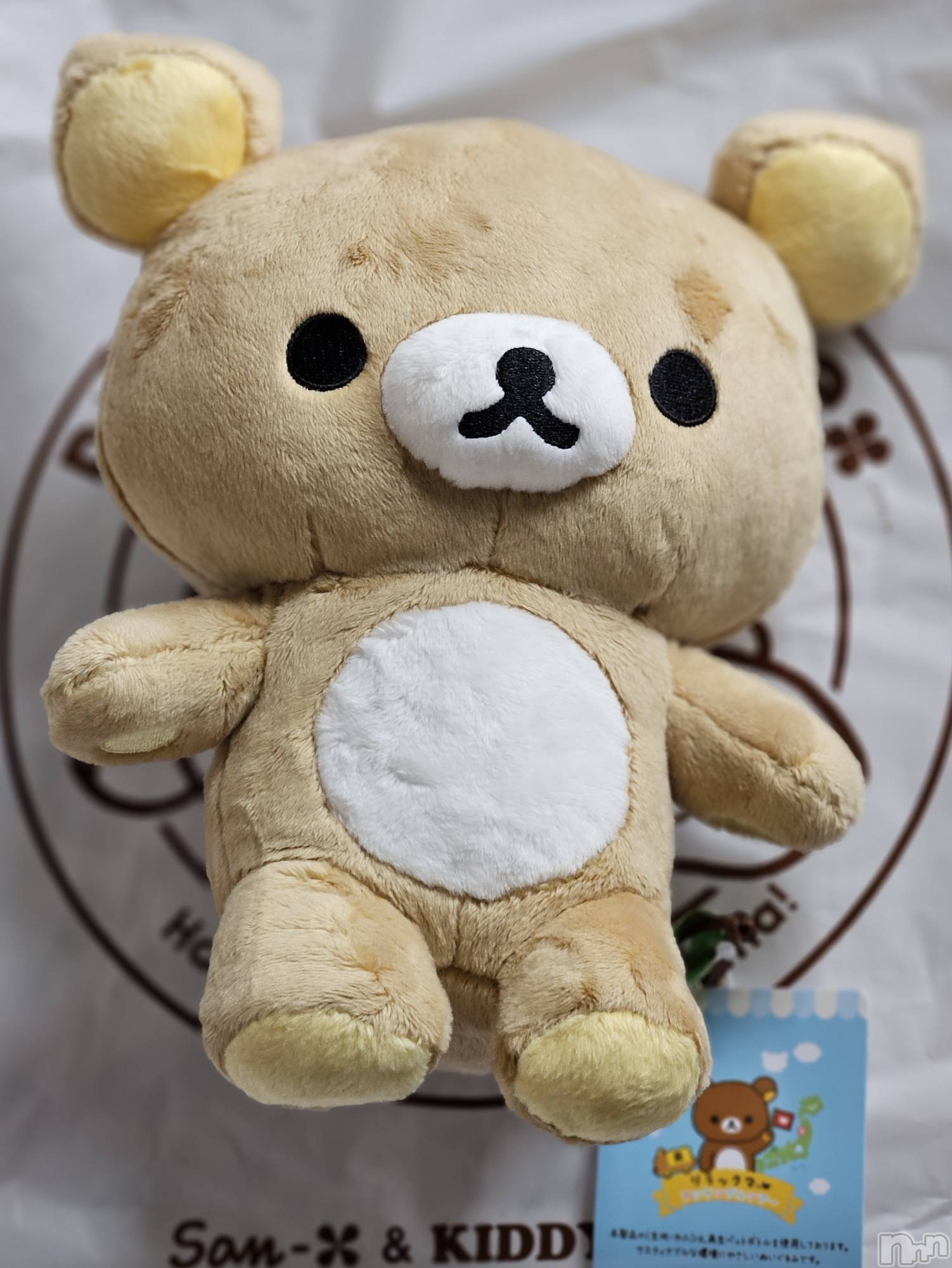 ĮХ顦֥ ץ ( ץ ) 2024ǯ729̥֥🐻