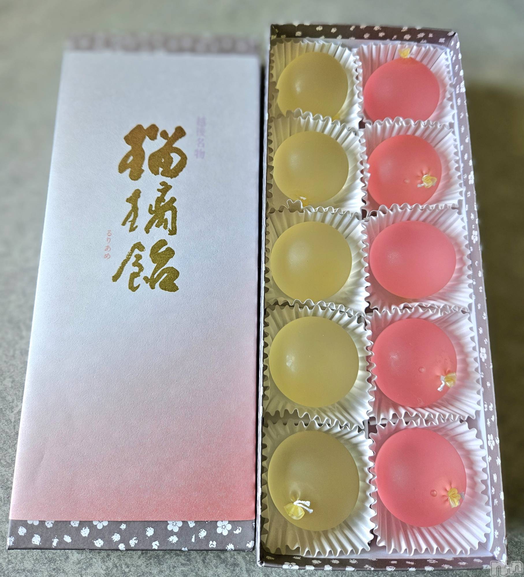 ĮХ顦֥ ץ ( ץ ) 2024ǯ812̥֥✨