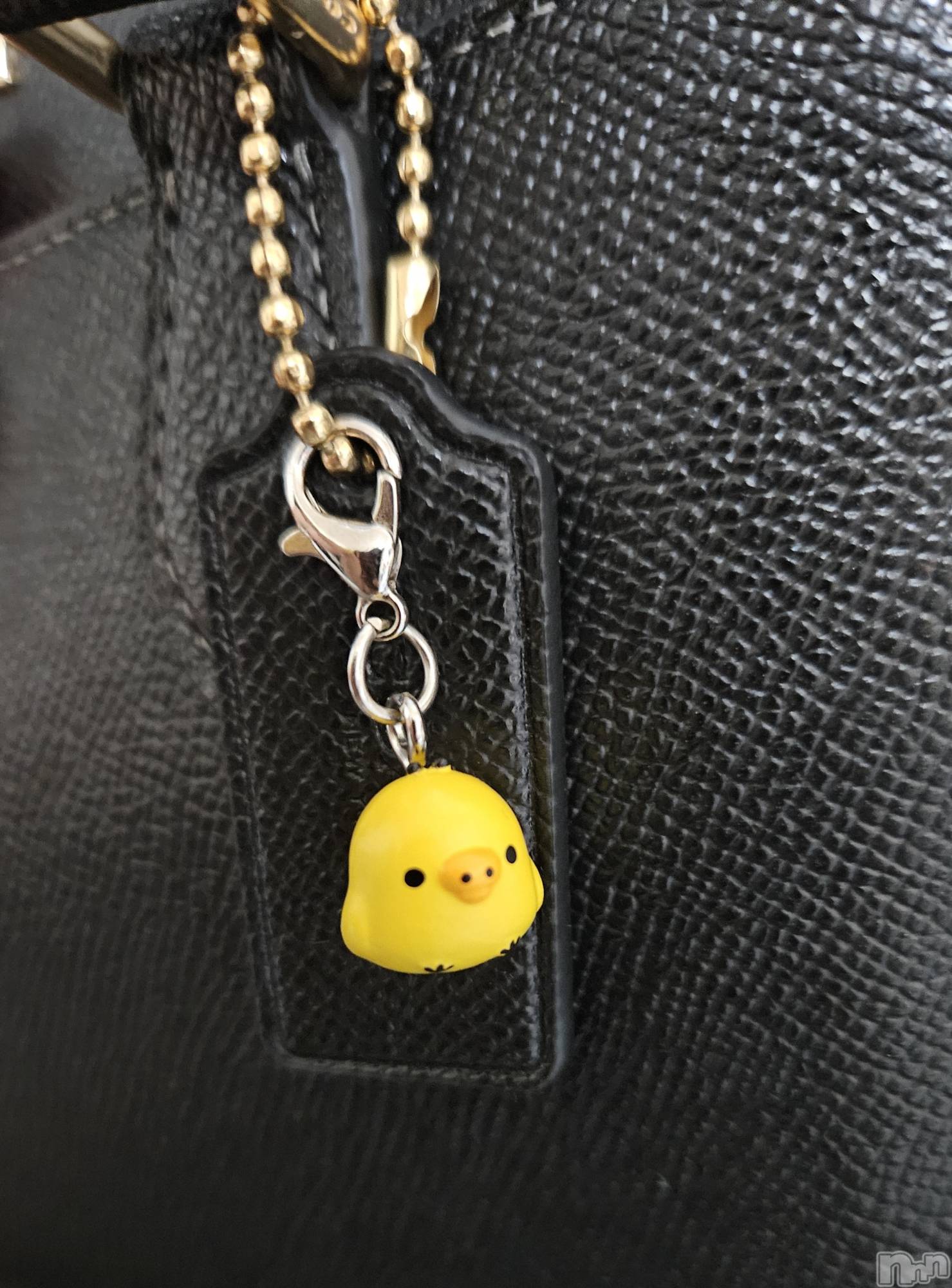 ĮХ顦֥ ץ ( ץ ) 2024ǯ818̥֥🐤