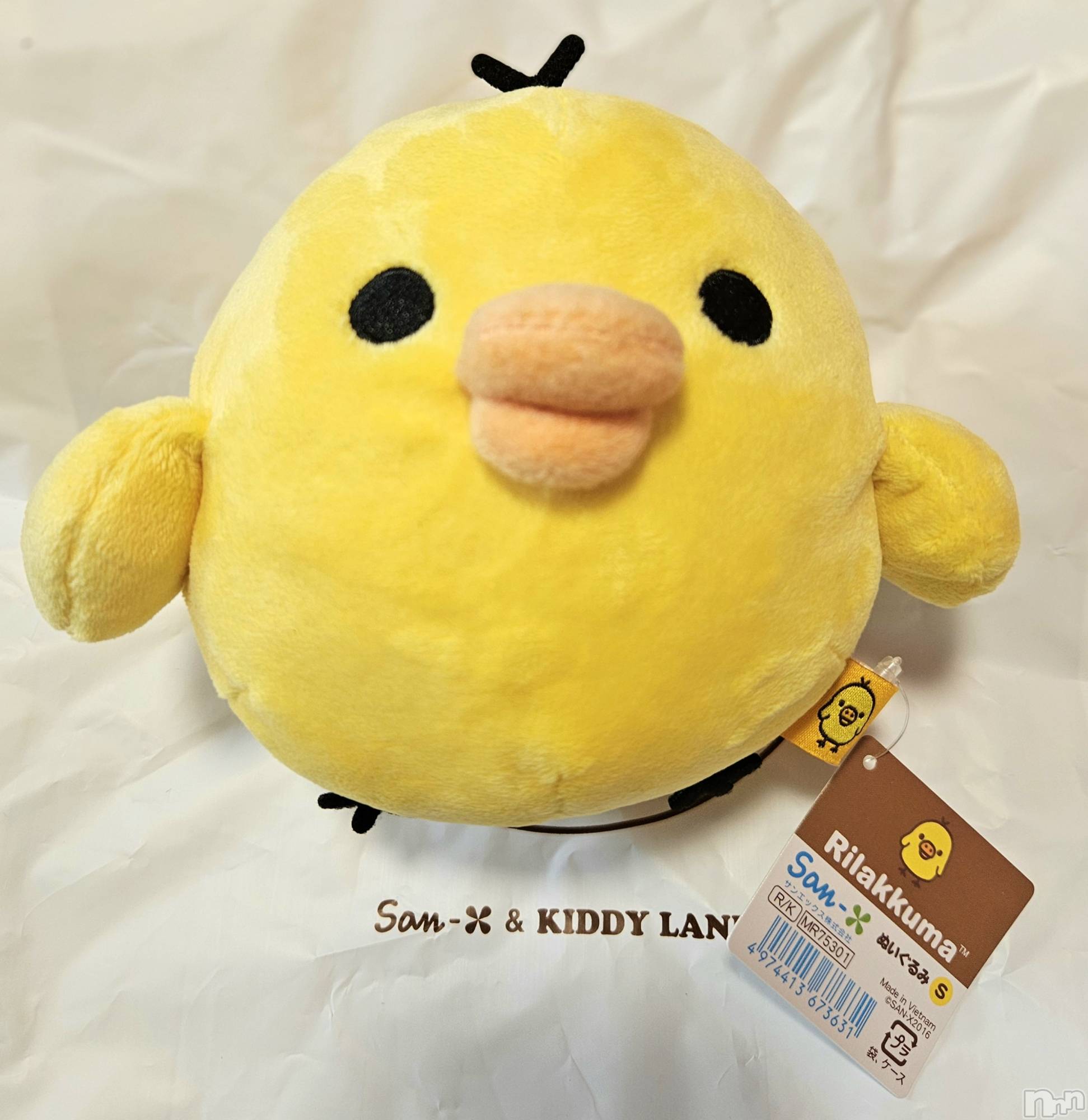 ĮХ顦֥ ץ ( ץ ) 2024ǯ910̥֥🐤