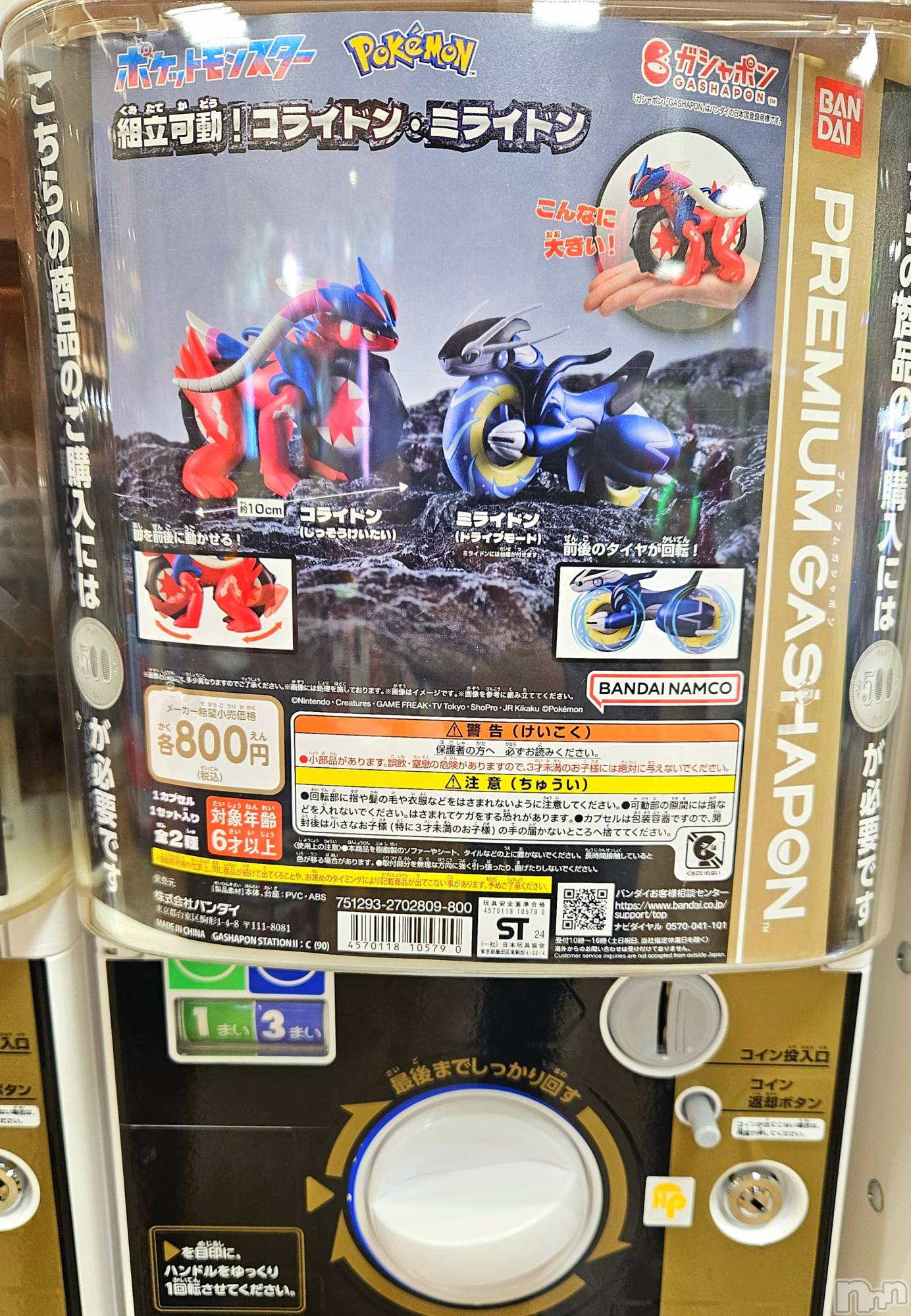 ĮХ顦֥ ץ ( ץ ) 2024ǯ102̥֥😱