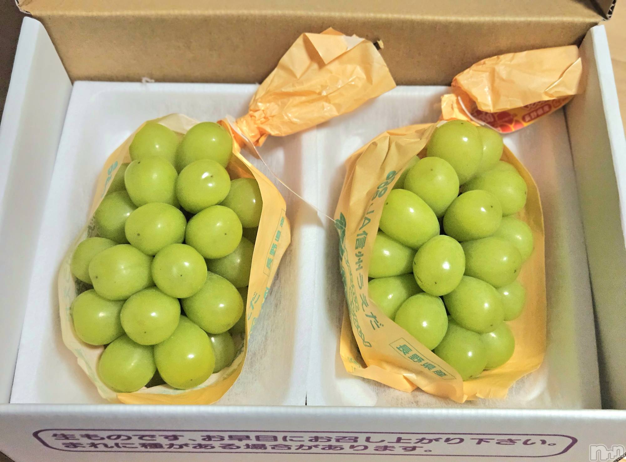 ĮХ顦֥ ץ ( ץ ) 2024ǯ107̥֥🍇