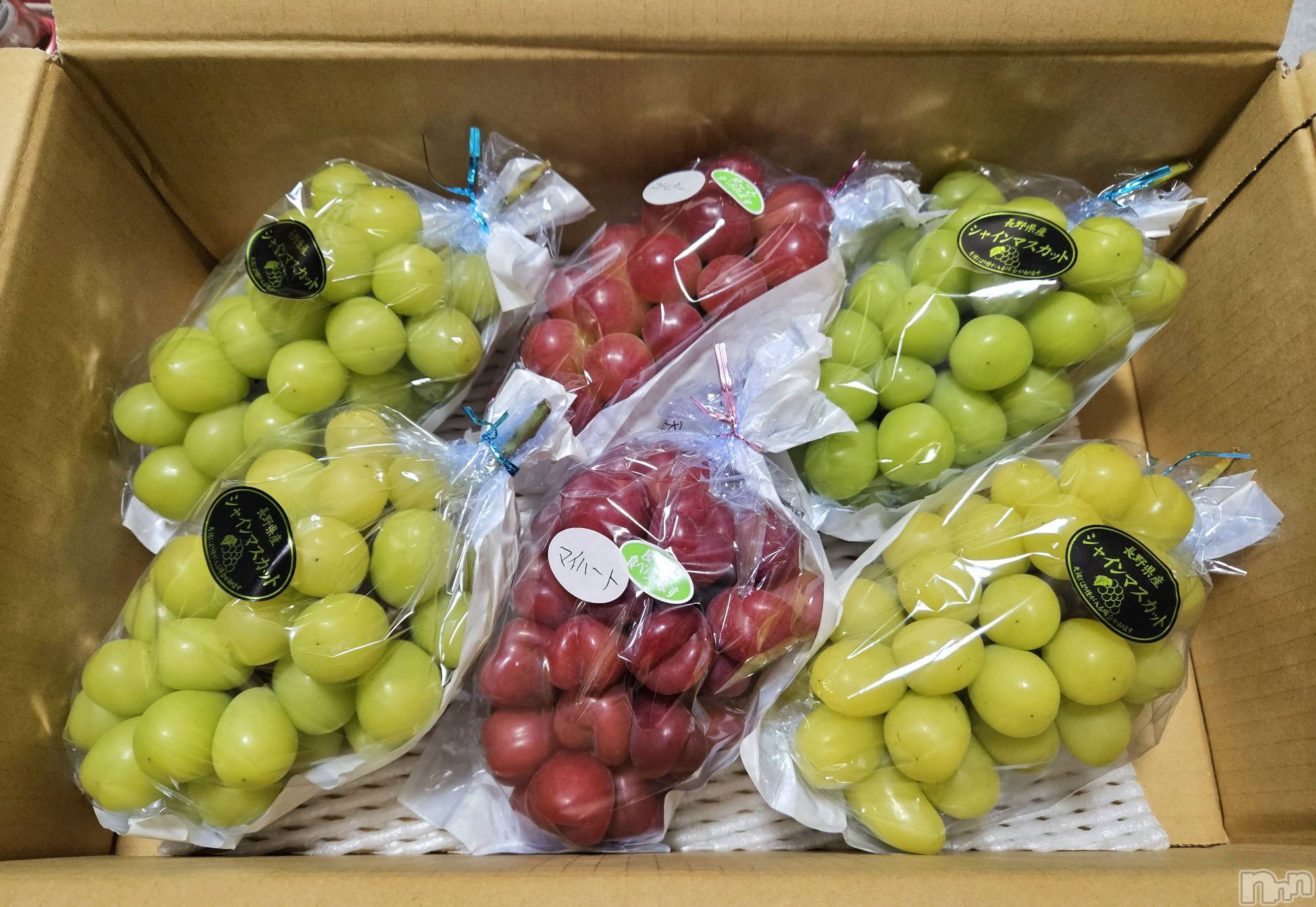 ĮХ顦֥ ץ ( ץ ) 2024ǯ1022̥֥🍇