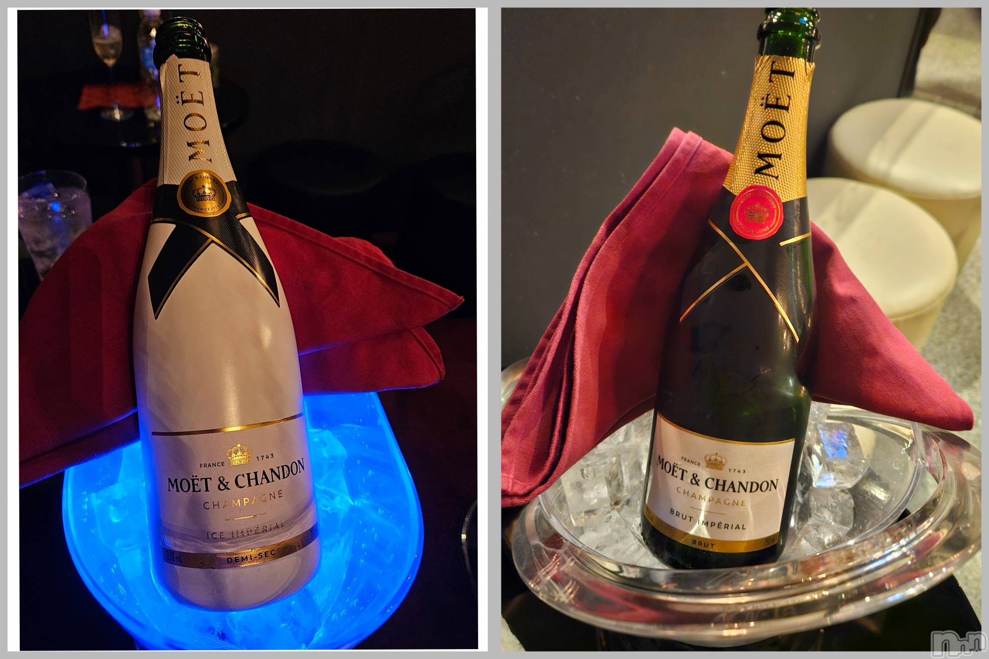 ĮХ顦֥ ץ ( ץ ) 2024ǯ1111̥֥🍾