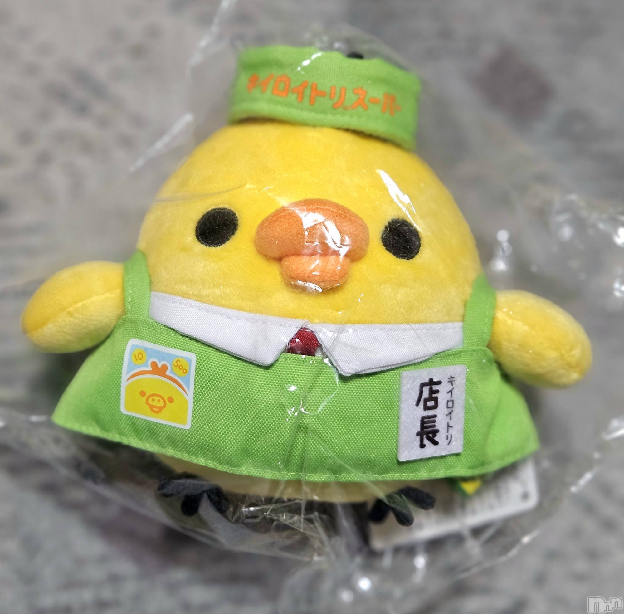 ĮХ顦֥ ץ ( ץ ) 2024ǯ1112̥֥🐤