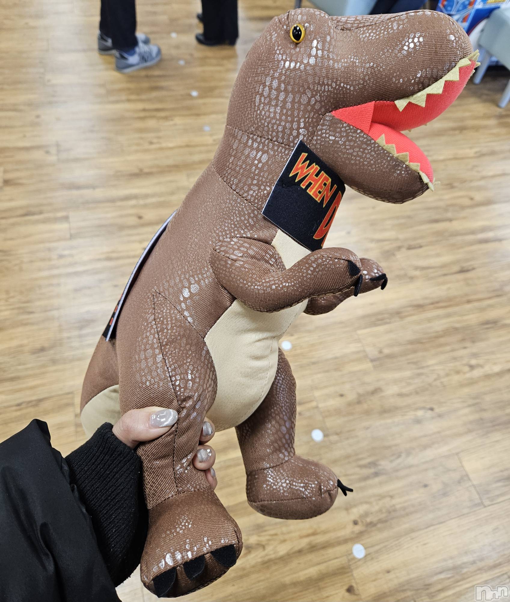 ĮХ顦֥ ץ ( ץ ) 2025ǯ12̥֥🦖