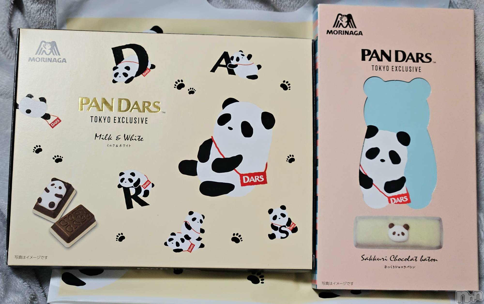 ĮХ顦֥ ץ ( ץ ) 2025ǯ313̥֥🐼