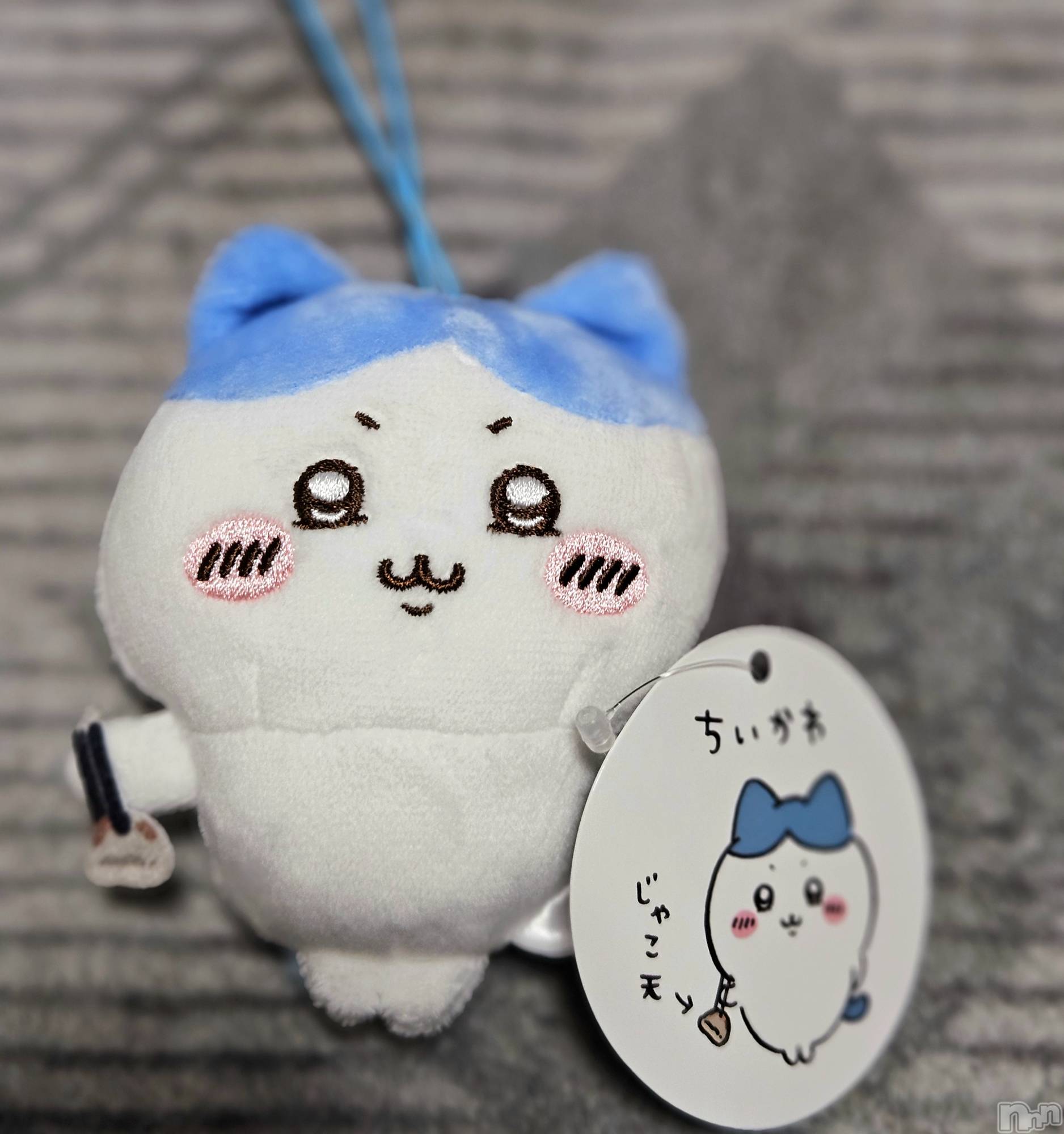 ĮХ顦֥ ץ ( ץ ) 2025ǯ522̥֥🐱