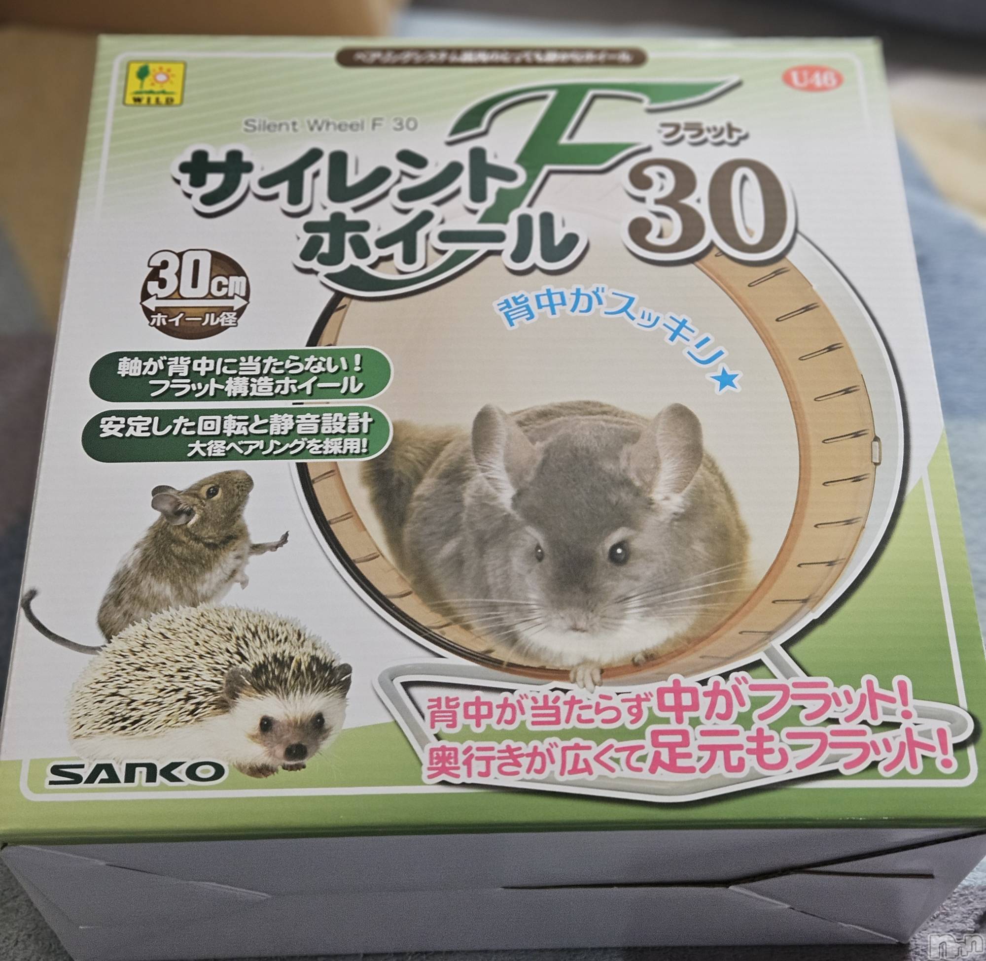 ĮХ顦֥ ץ ( ץ ) 2025ǯ613̥֥🦔⸒⸒