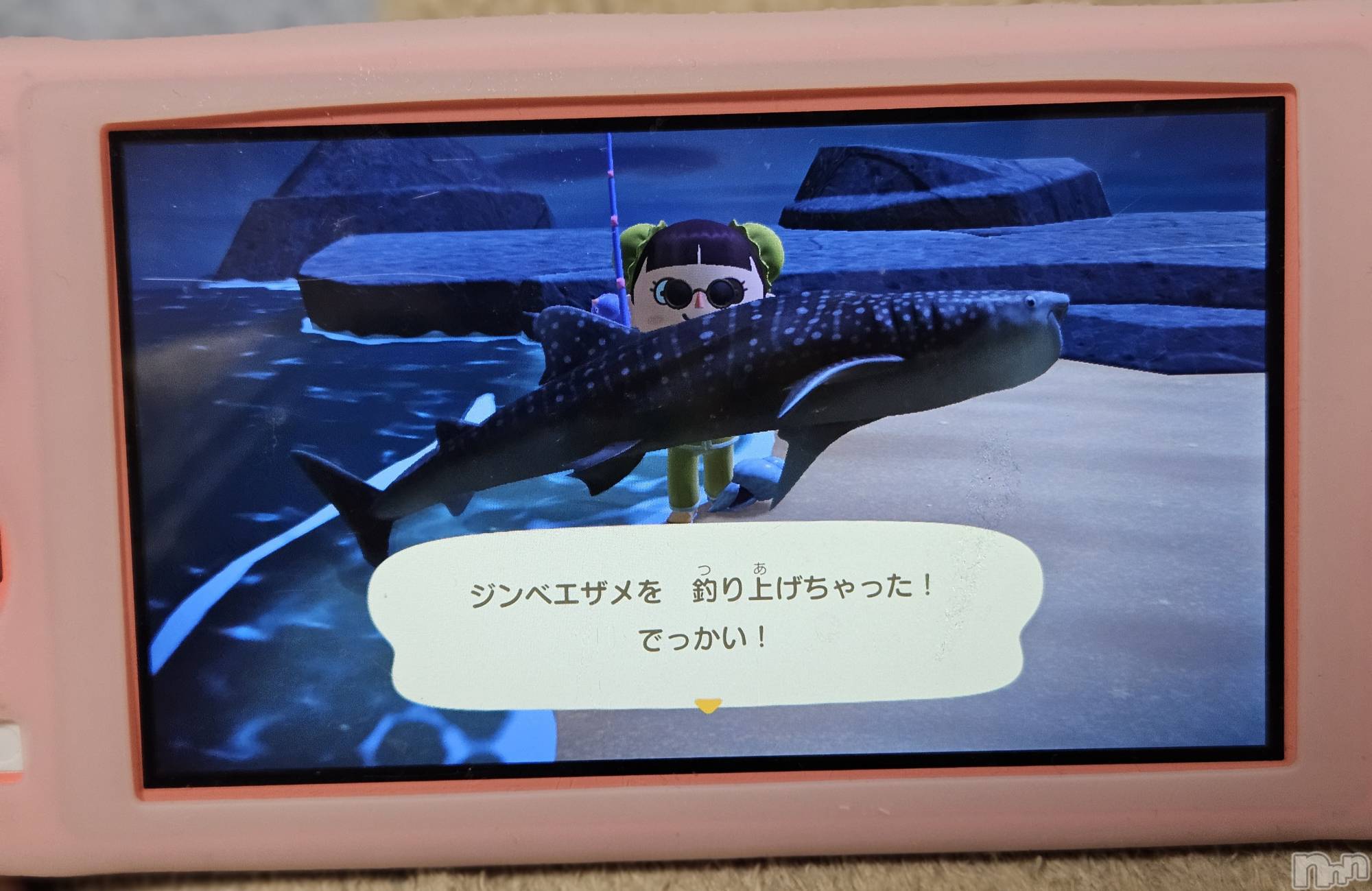 ĮХ顦֥ ץ ( ץ ) 2025ǯ617̥֥🐟