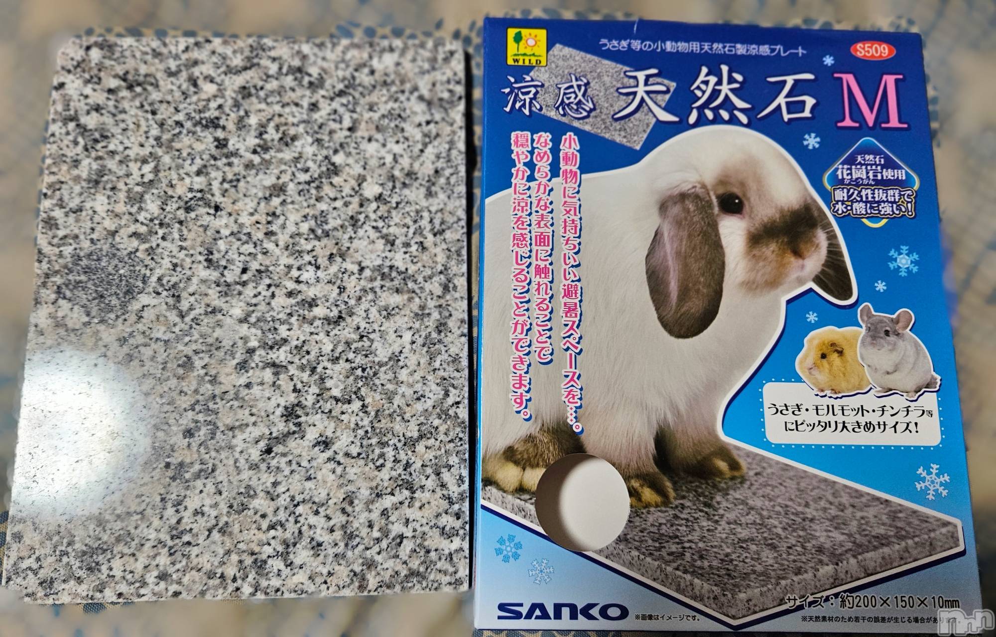 ĮХ顦֥ ץ ( ץ ) 2025ǯ619̥֥🪨