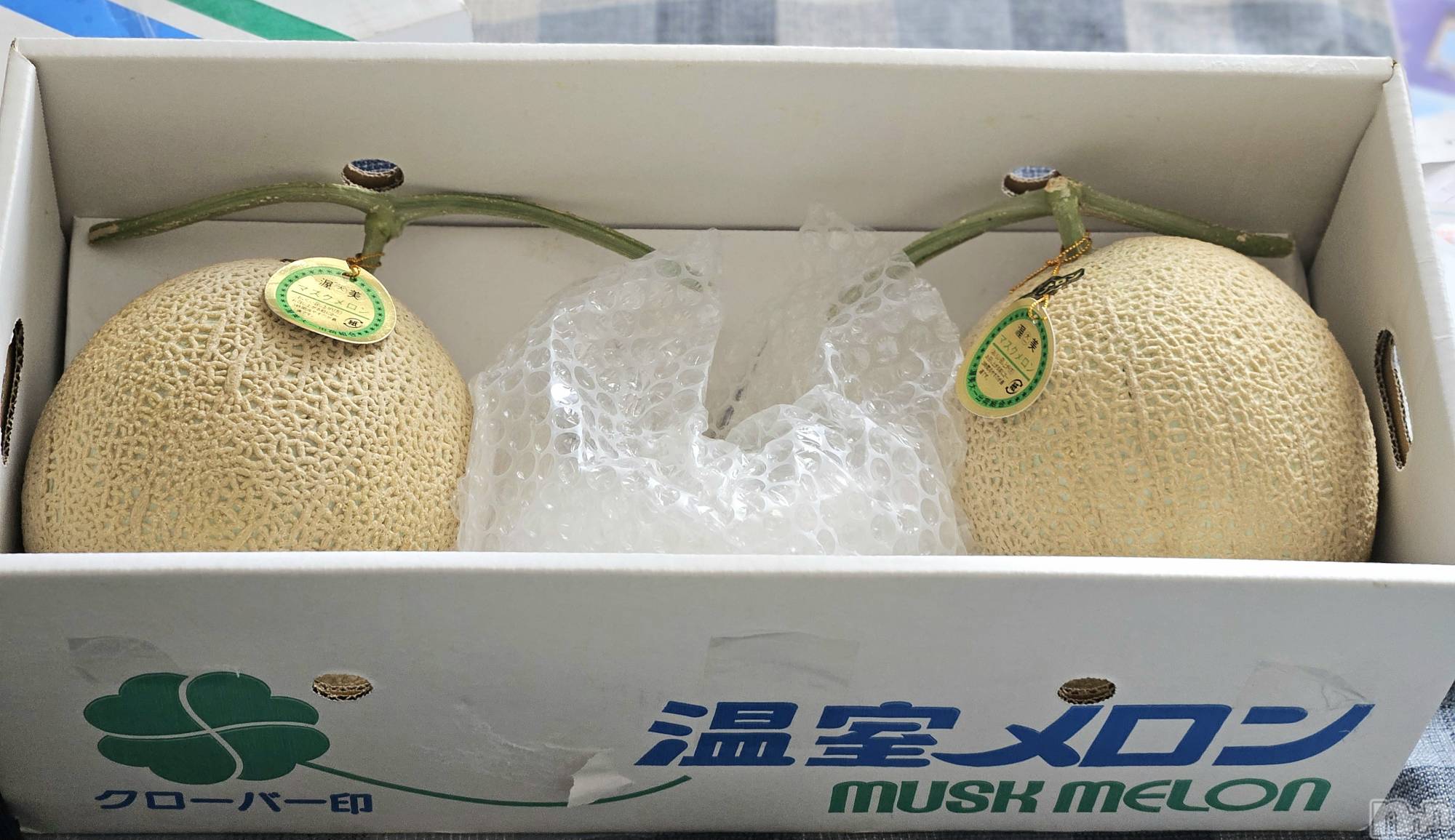 ĮХ顦֥ ץ ( ץ ) 2025ǯ75̥֥🍈
