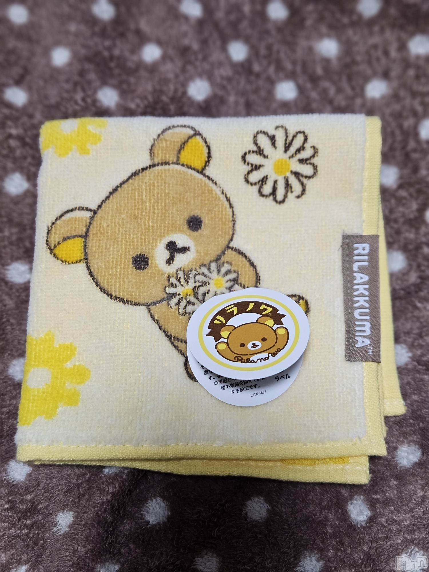 ĮХ顦֥ ץ ( ץ ) 2025ǯ719̥֥🌼